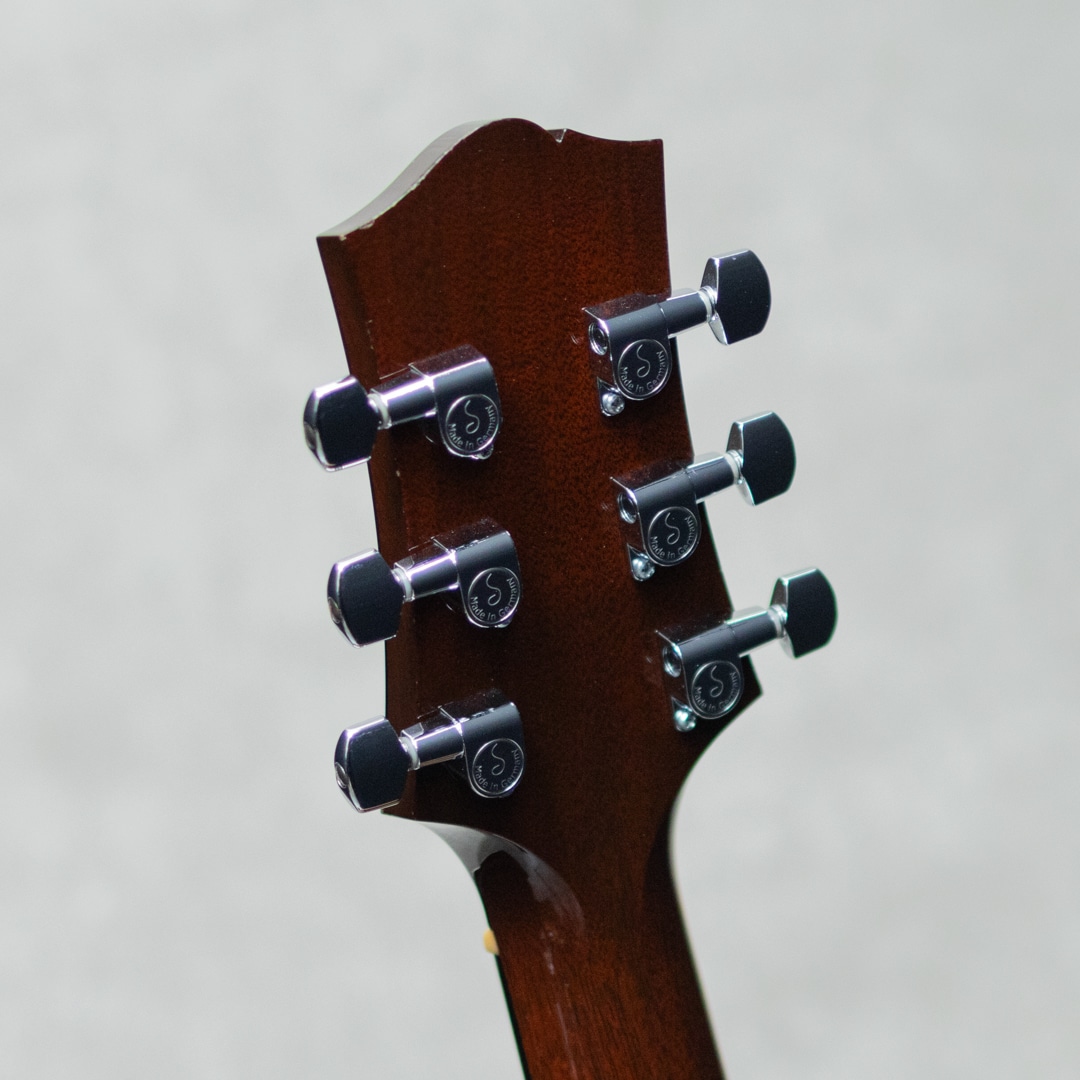C10ASS Adirondack Spruce Top / Short Scale / 2009