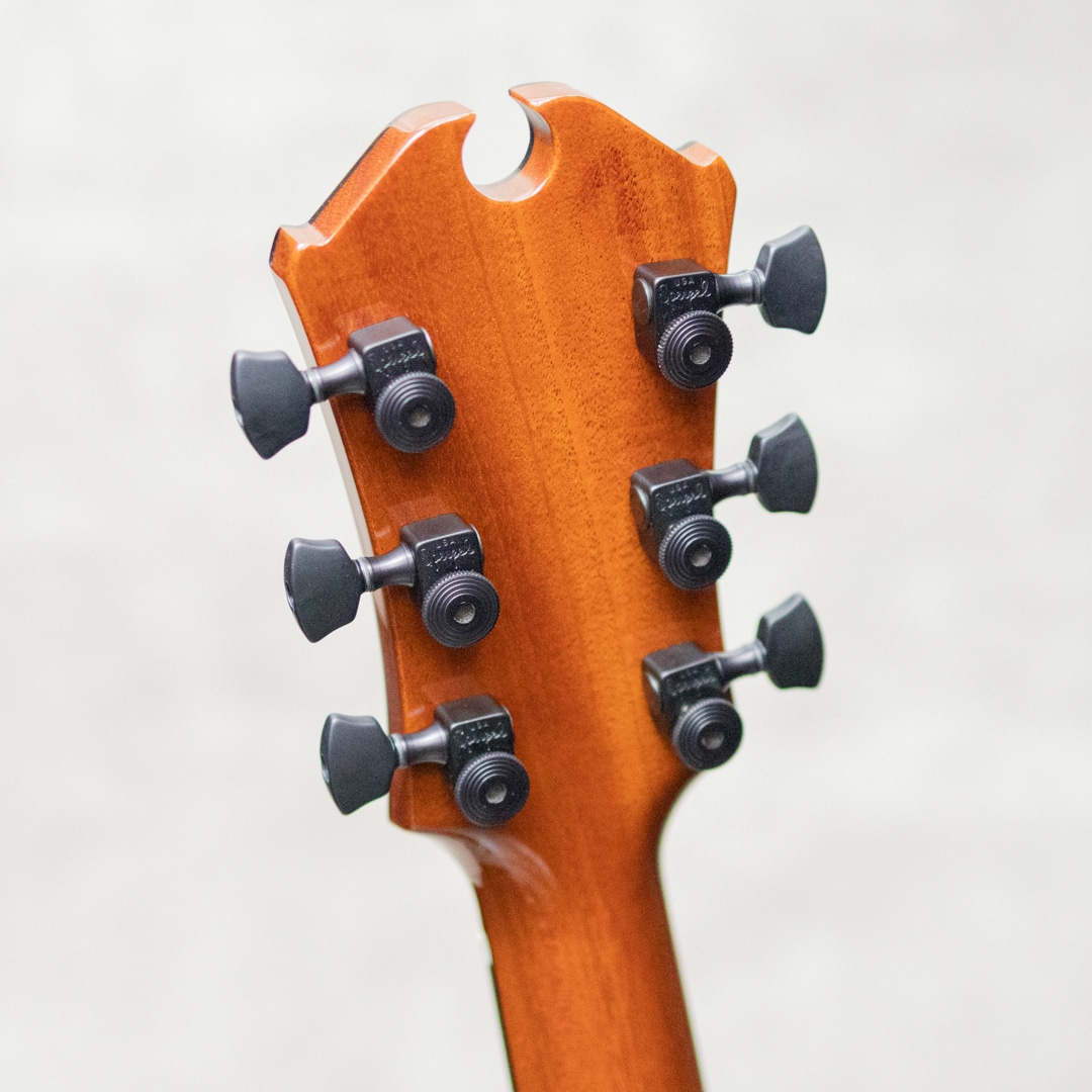 Semi-Hollow Arch Top TOM Bridge and Stop Tailpiece / 2014