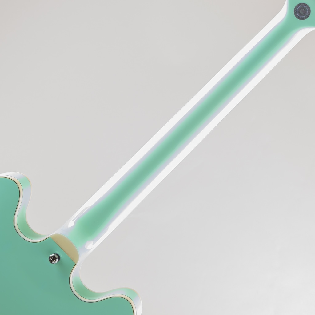 EXRUBATO-ZEBRA FINCH / Surf Green