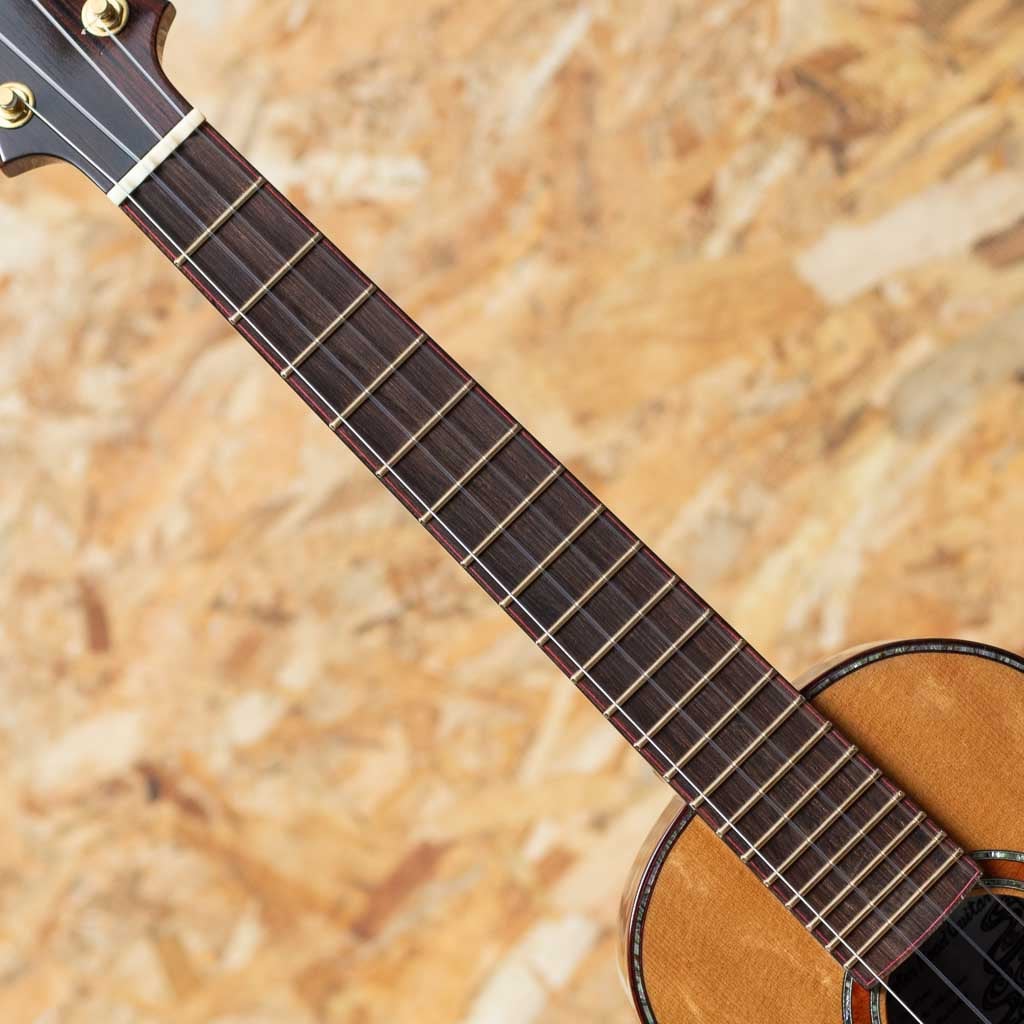 Bear Claw Sitka Spruce Tenor 2023