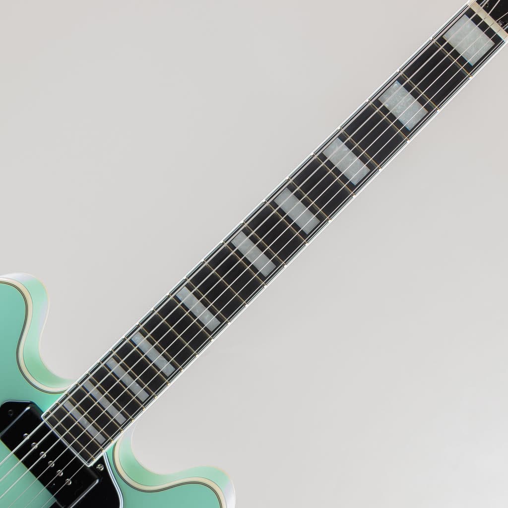 EXRUBATO-ZEBRA FINCH / Surf Green