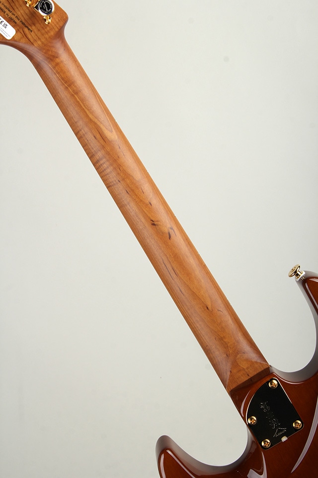 Expert ODYSSEY EOS2-EW1-HS-RM/HCB【S/N J250460】