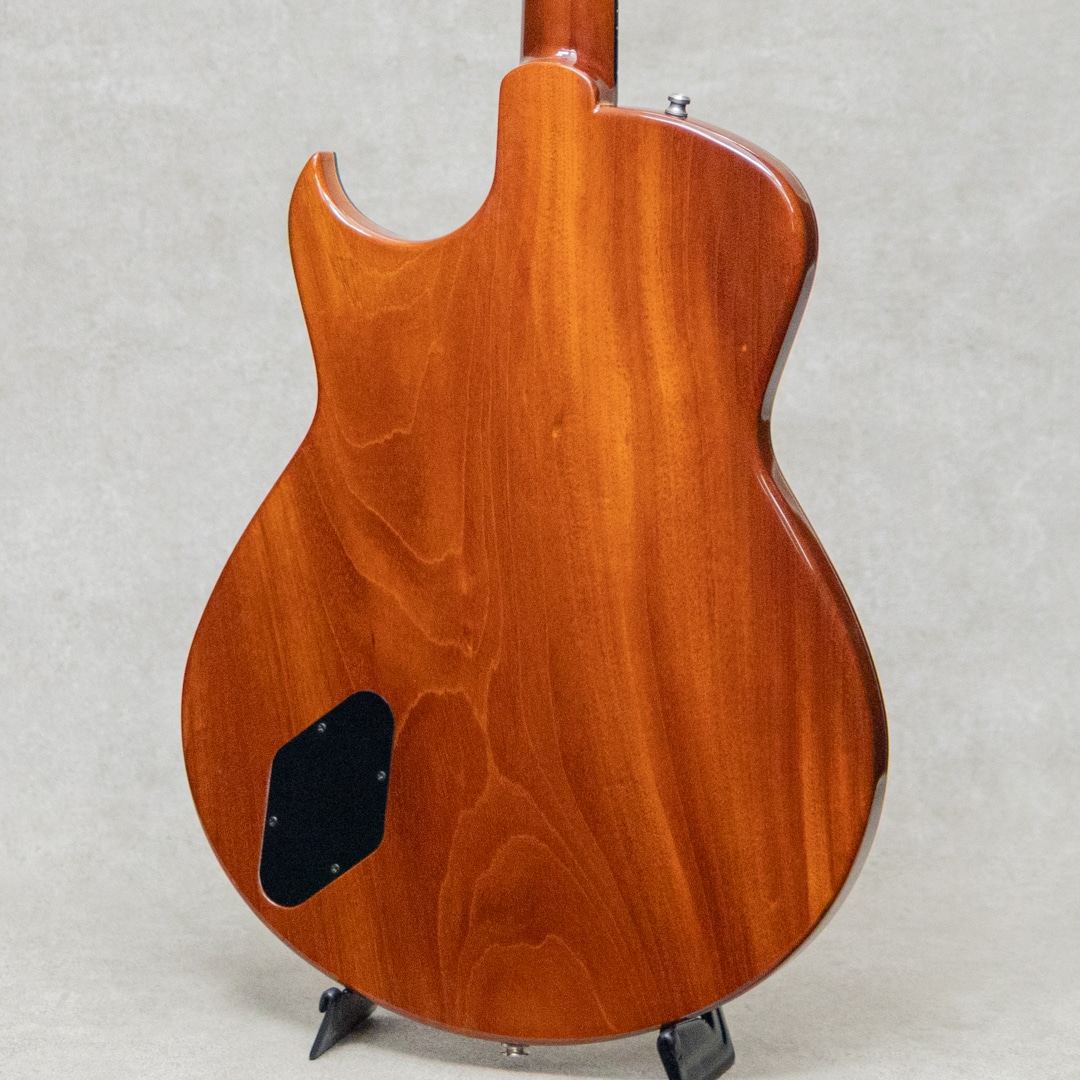 Semi-Hollow Arch Top TOM Bridge and Stop Tailpiece / 2014