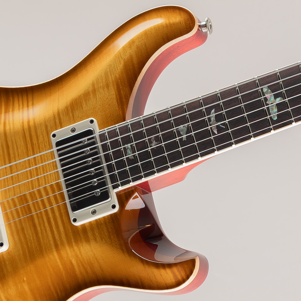 McCarty McCarty Sunburst 2025