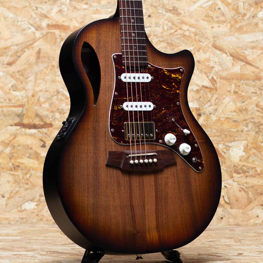 TL2EC-BLBL-HSS-SUN 2020's