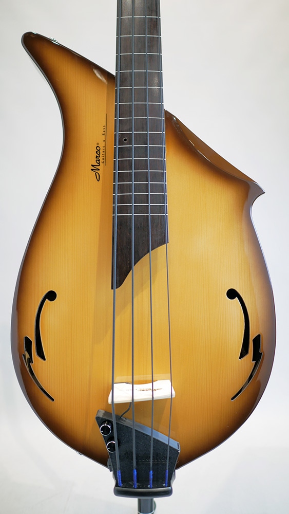 Marcustico 4 / Brown Burst