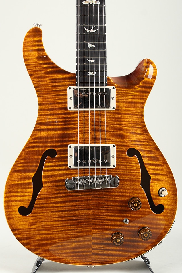 Hollowbody II Piezo 10Top 2016