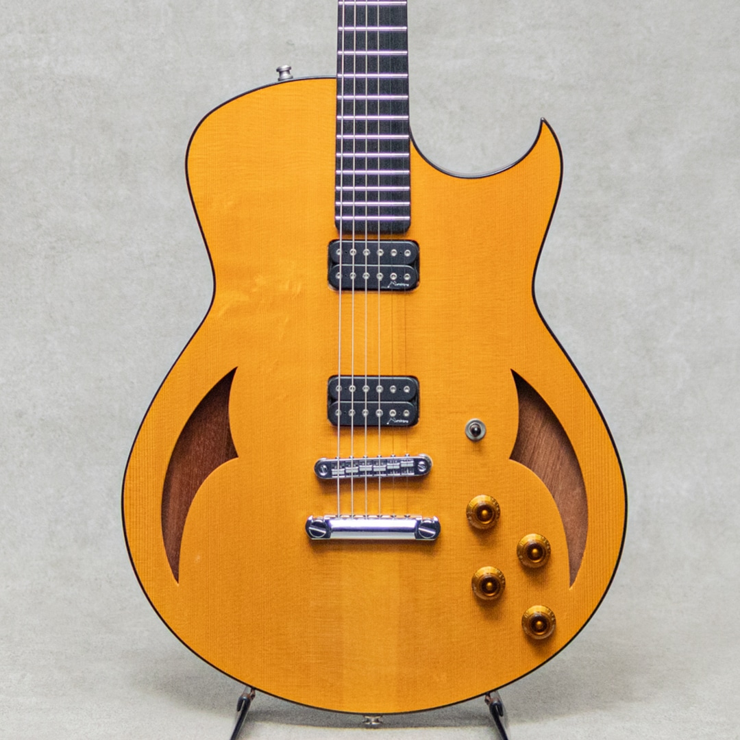 Semi-Hollow Arch Top TOM Bridge and Stop Tailpiece / 2014