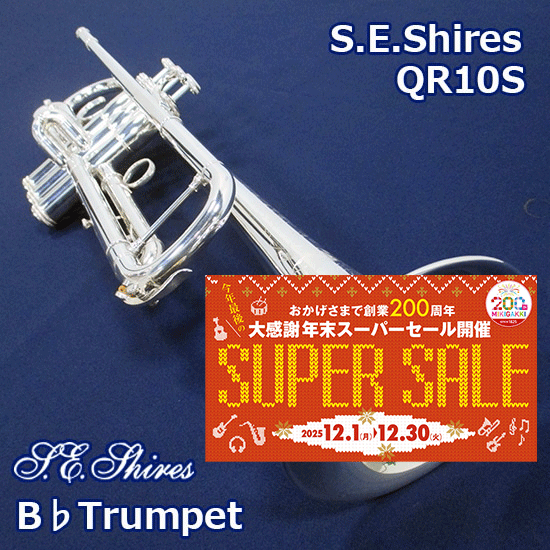 Q10RS <リバースモデル>