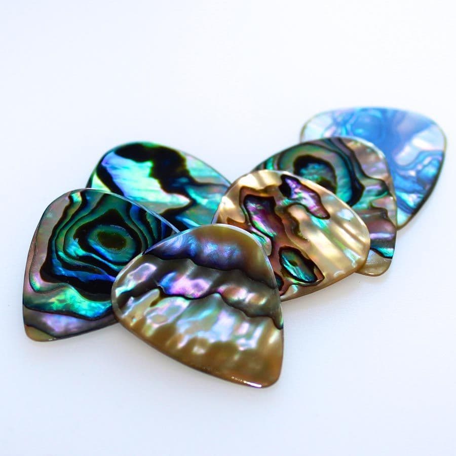 ABALONE TONES - Green Abalone (1枚入り)