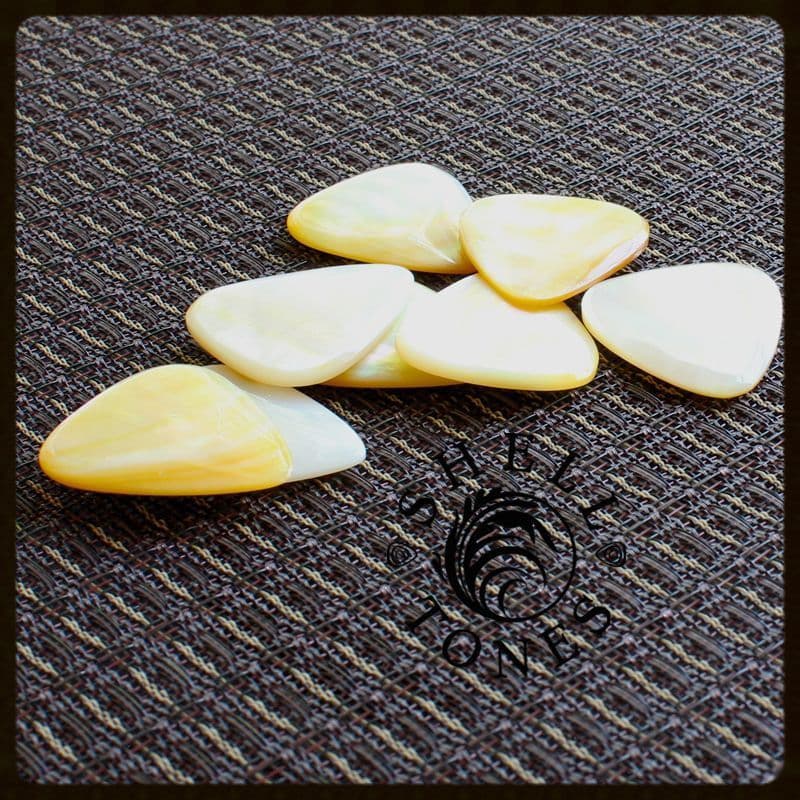 SHELL TONES - Gold Mother of Pearl (1枚入り)