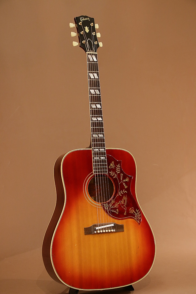 Hummingbird Dark Cherry Burst