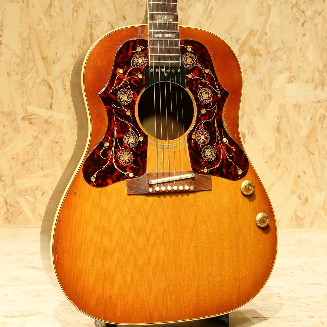 J-160E Double Pick Guard(WPG) 1964