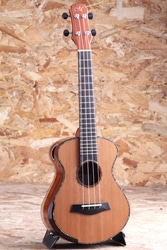 UC-SR SB C Concert  Santos Rosewood