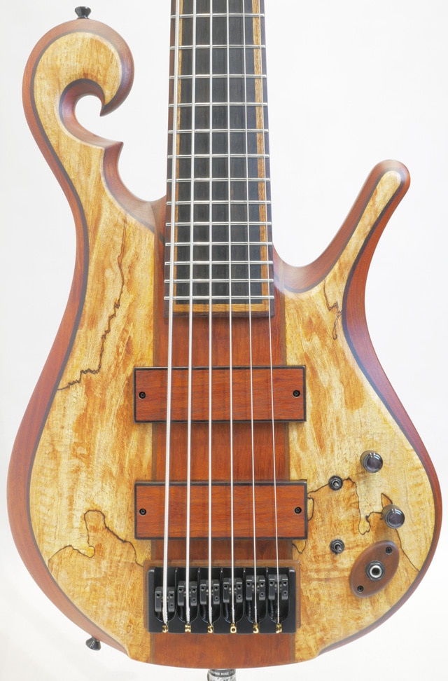 Scroll Bass 6st Spalted Maple Top