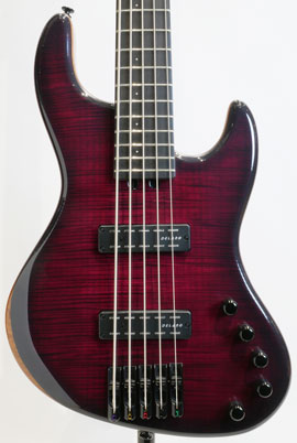 Myra 5st Flame Maple Top