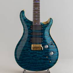 Private Stock #4127 Modern Eagle 24 Fret  Blue Steel 2013