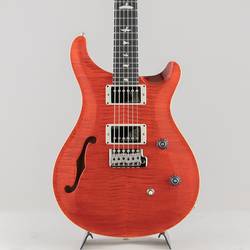 CE24 Semi Hollow Custom Configuration Ruby