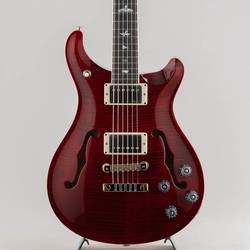 McCarty594 Hollowbody II Custom Color 2024