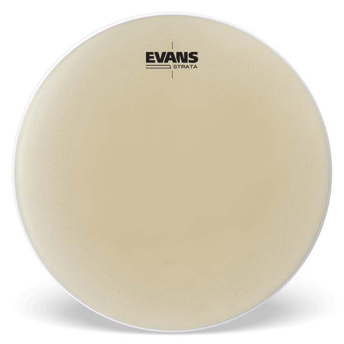 【お取り寄せ】EST25 EVANS Strata ティンパニヘッド（23"ティンパニ用）