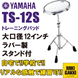 TS12S スタンド付き 12インチ