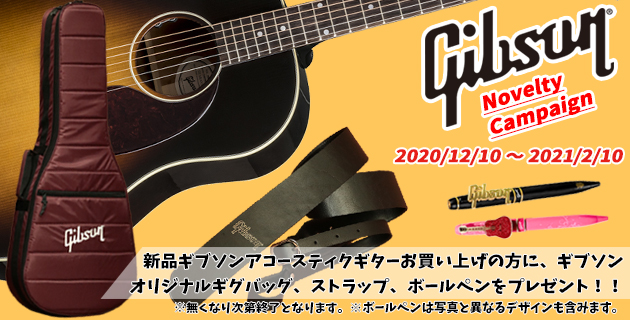 Top Mikigakki Com Acoustic Inn