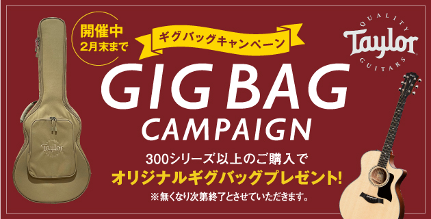 Taylor_Gig_Bag_Campaign_2023
