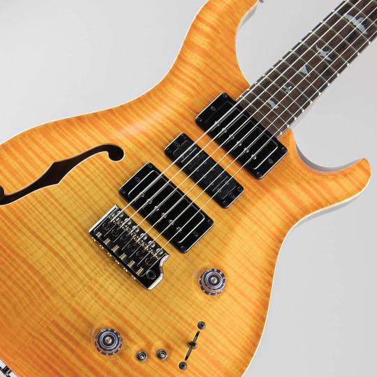 Paul Reed Smith Private Stock #10035 Special Semi-Hollow Limited Edition Citrus Glow 2022 ポールリードスミス サブ画像10