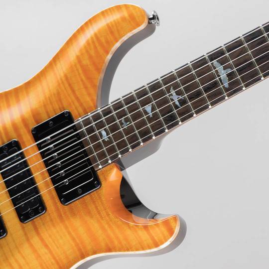 Paul Reed Smith Private Stock #10035 Special Semi-Hollow Limited Edition Citrus Glow 2022 ポールリードスミス サブ画像11