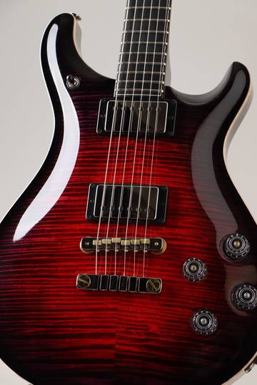 Paul Reed Smith Private Stock McCarty 594 Graveyard II Limited Raven's Heart ポールリードスミス サブ画像12