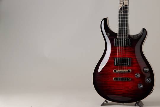 Paul Reed Smith Private Stock McCarty 594 Graveyard II Limited Raven's Heart ポールリードスミス サブ画像13