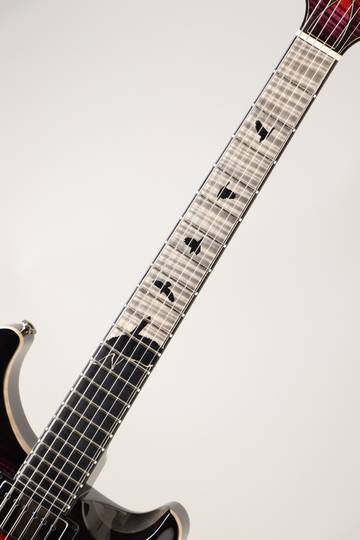 Paul Reed Smith Private Stock McCarty 594 Graveyard II Limited Raven's Heart ポールリードスミス サブ画像6
