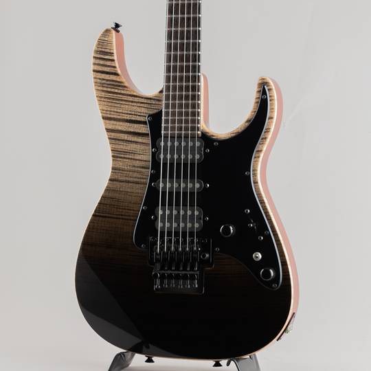 TOM ANDERSON Guardian Angel Black Surf with Binding 2017 トムアンダーソン サブ画像8