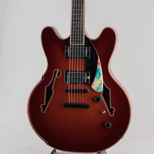 Stuart Day Guitars Hyde Street Custom Sunburst 2022 サブ画像8