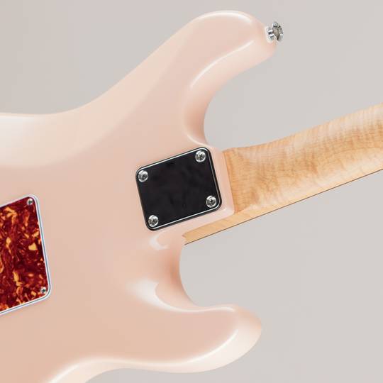 Suhr Classic Pro Roasted Flame Maple Neck Shell Pink Left Handed 2020’s サー サブ画像12