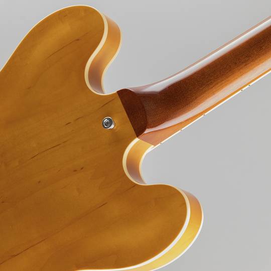 Addictone Custom Guitars  Addictone 335 model / Natural Amber サブ画像11