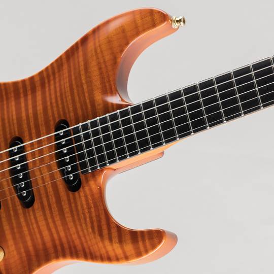 Marchione Guitars Carve-Top SSH Amber 2012 マルキオーネ　ギターズ サブ画像11