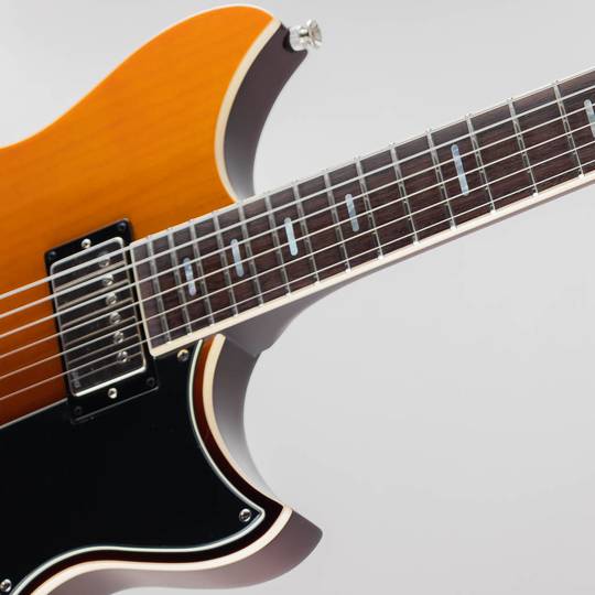 YAMAHA REVSTAR RSS20 / Sunset Burst ヤマハ サブ画像11