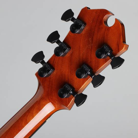 Marchione Guitars Semi-Hollow Torrefied Silver Maple/Hondurus Mahogany マルキオーネ　ギターズ サブ画像6