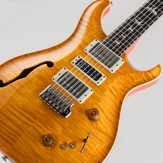 Paul Reed Smith Special Semi-Hollow  McCarty Sunburst 2023 ポールリードスミス サブ画像10