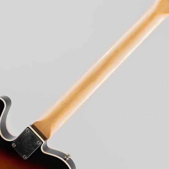 RS Guitar Works Bakersfield 3 Tone Sunburst 2019 アールエスギターワークス サブ画像7