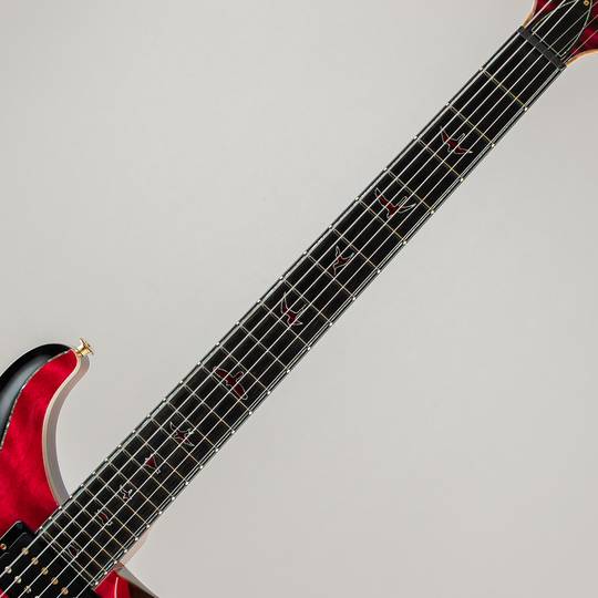 Paul Reed Smith Private Stock #11058 Custom 24/08 Blood Red Fade & Frostbite Fade 2023 ポールリードスミス サブ画像5