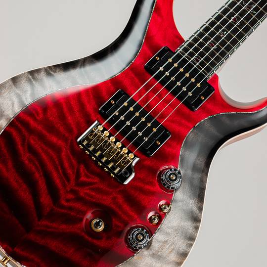 Paul Reed Smith Private Stock #11058 Custom 24/08 Blood Red Fade & Frostbite Fade 2023 ポールリードスミス サブ画像10