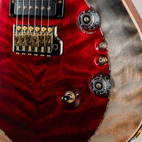 Paul Reed Smith Private Stock #11058 Custom 24/08 Blood Red Fade & Frostbite Fade ポールリードスミス サブ画像14