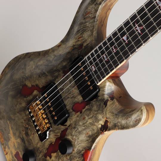 Paul Reed Smith Private Stock #8460 Custom 24/08 Buck-eye Burl Maple Top Natural with Red Pearl Resin ポールリードスミス サブ画像13