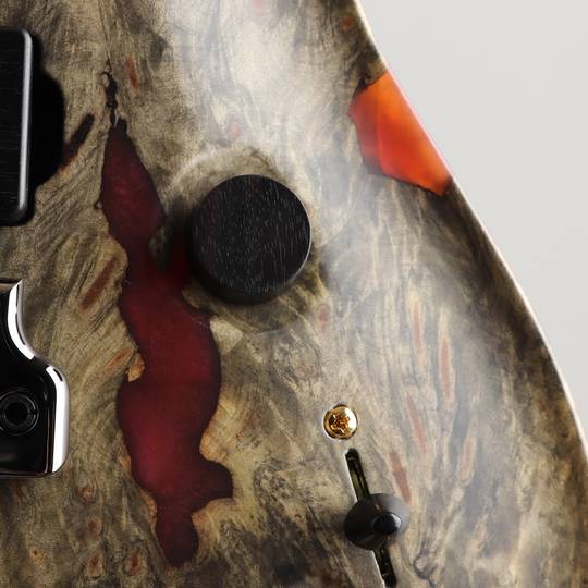 Paul Reed Smith Private Stock #8460 Custom 24/08 Buck-eye Burl Maple Top Natural with Red Pearl Resin ポールリードスミス サブ画像16
