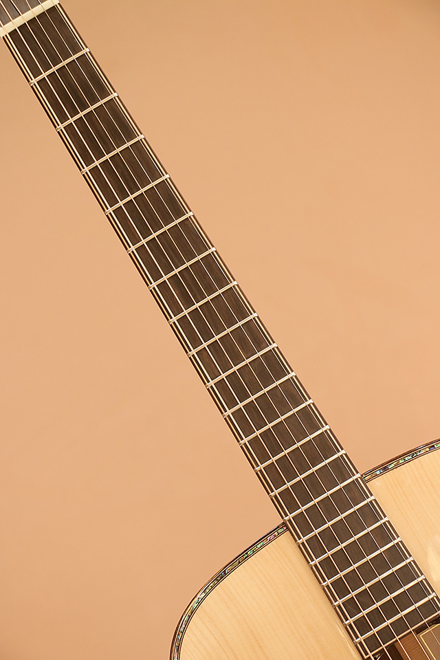 Maestro Guitars VIMR-Private Collection Victoria-MR SB AX マエストロギターズ winsaleend サブ画像5