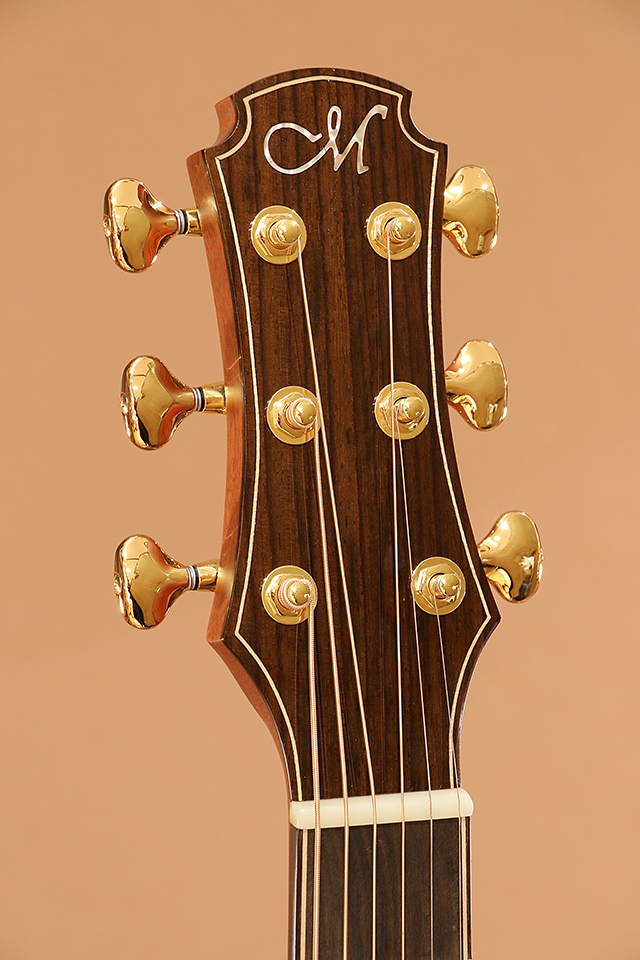 Maestro Guitars VIMR-Private Collection Victoria-MR SB AX マエストロギターズ winsaleend サブ画像7