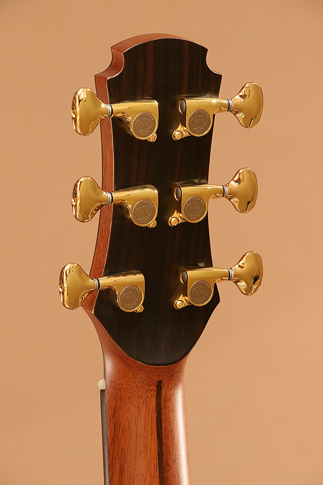 Maestro Guitars VIMR-Private Collection Victoria-MR SB AX マエストロギターズ winsaleend サブ画像8