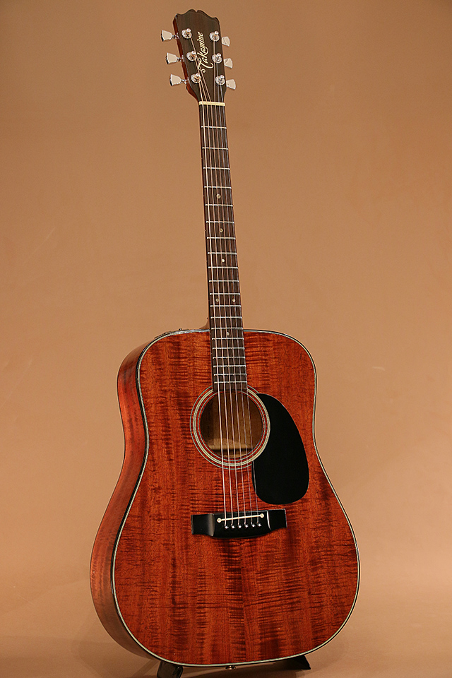 【高品質】Takamine/タカミネ PTN-006 アコギ アコースティックギター エレアコ 6弦 ハードケース付 弦器 タカミネ